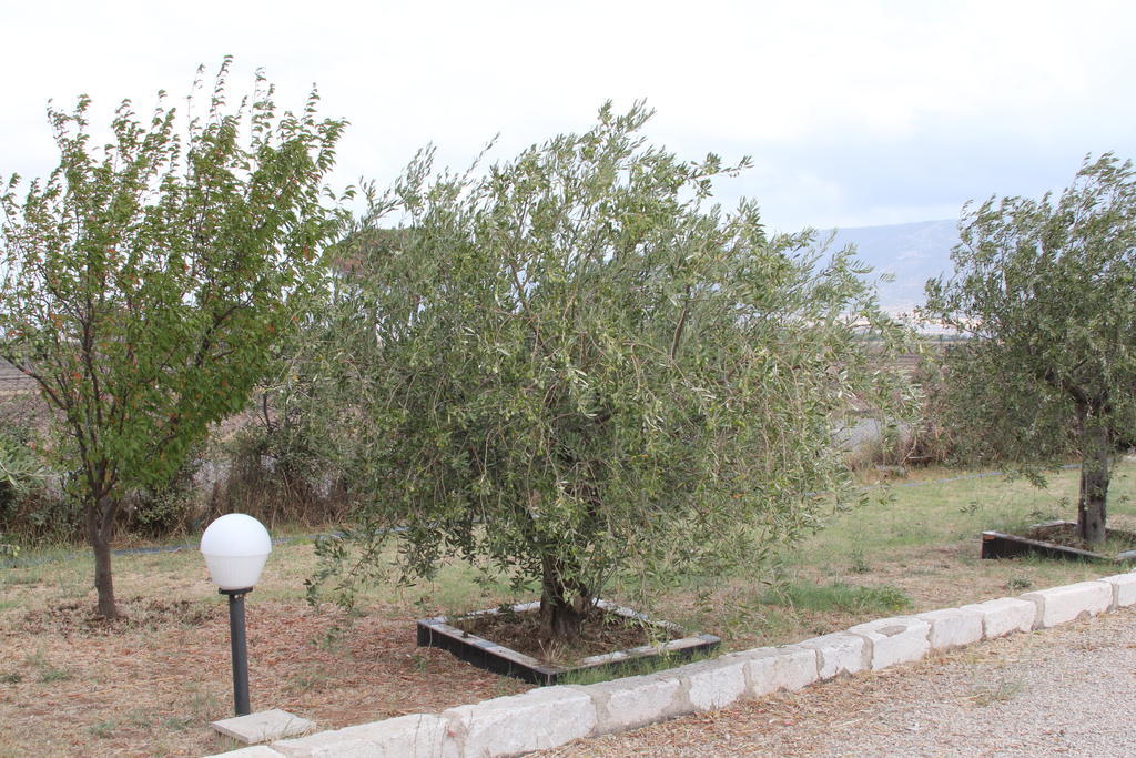 Agriturismo Silos Agri Villa San Severo Eksteriør bilde