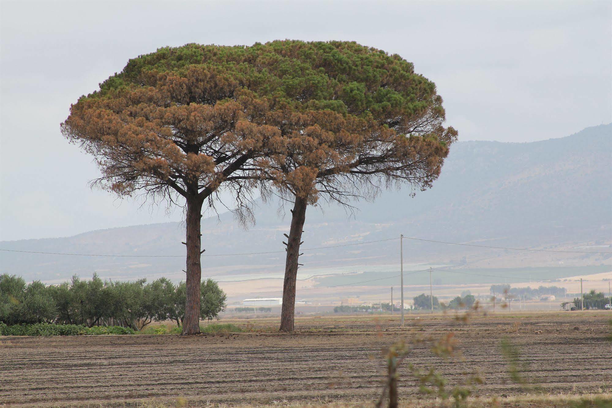 Agriturismo Silos Agri Villa San Severo Eksteriør bilde